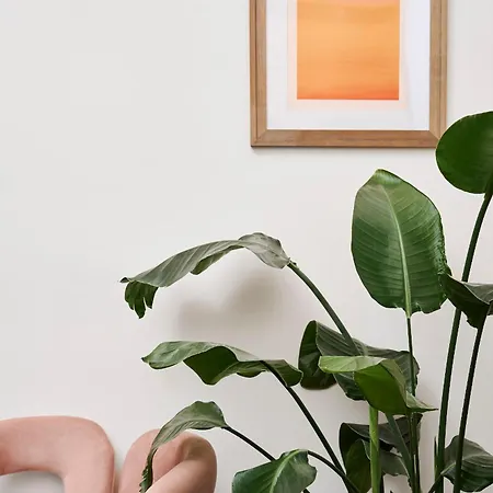 Apartament Poets Place Design In Kreuzberg