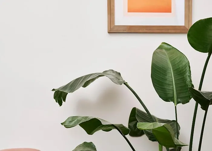 Appartement Poets Place Design In Kreuzberg